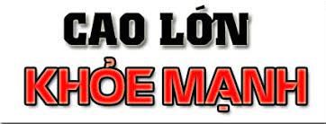 logo-caolonkhoemanh